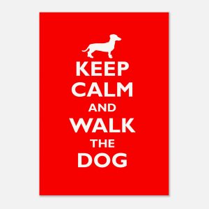 Keep Calm and Walk the Dog – [Dachshund] A3 Art Print | Funny Dog Lover Wall Art | Master’s Edition Archival Paper | Pet Gift Décor